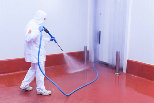 Best Post-Construction Pressure Washing  in Shirley, NY
